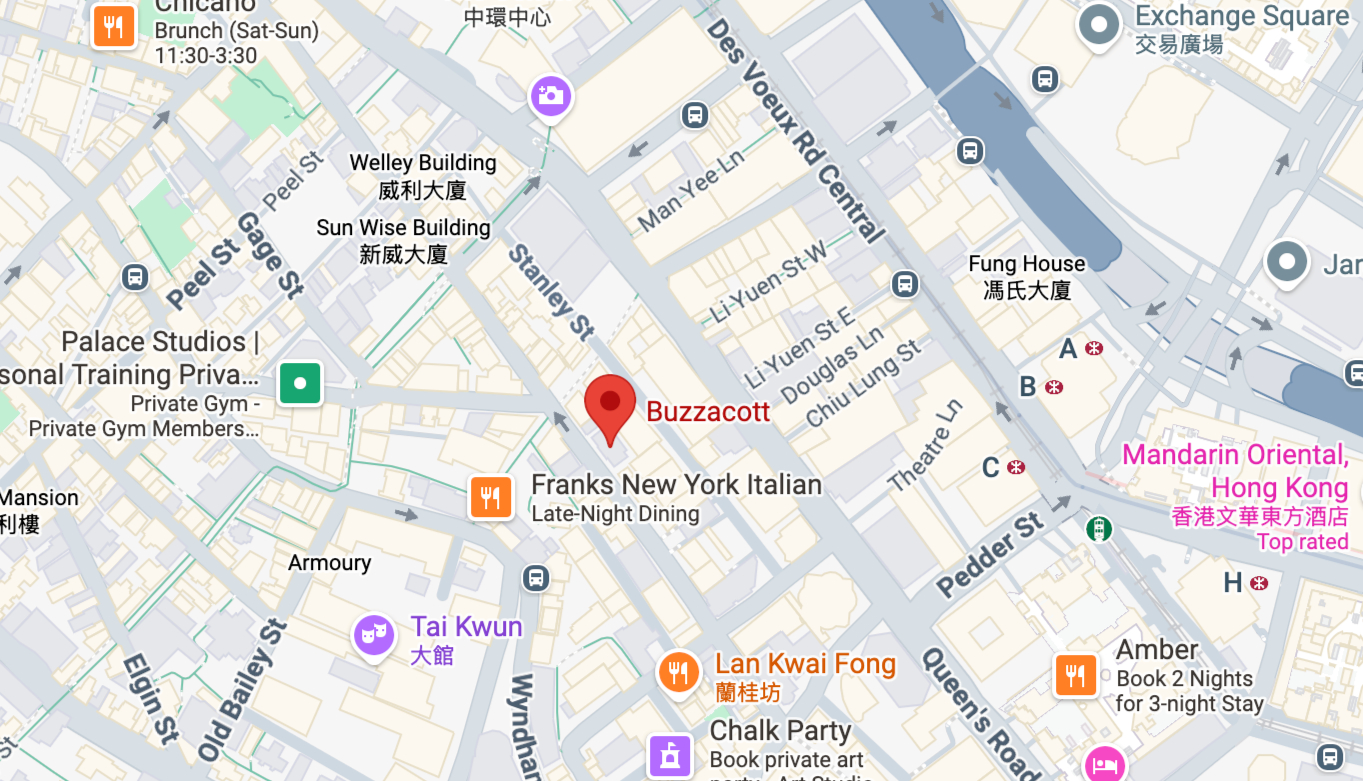 google map image